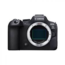 Бездзеркальний фотоапарат Canon EOS R6 Mark II body